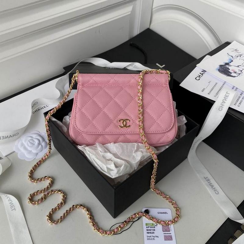 Chanel Handbags 173